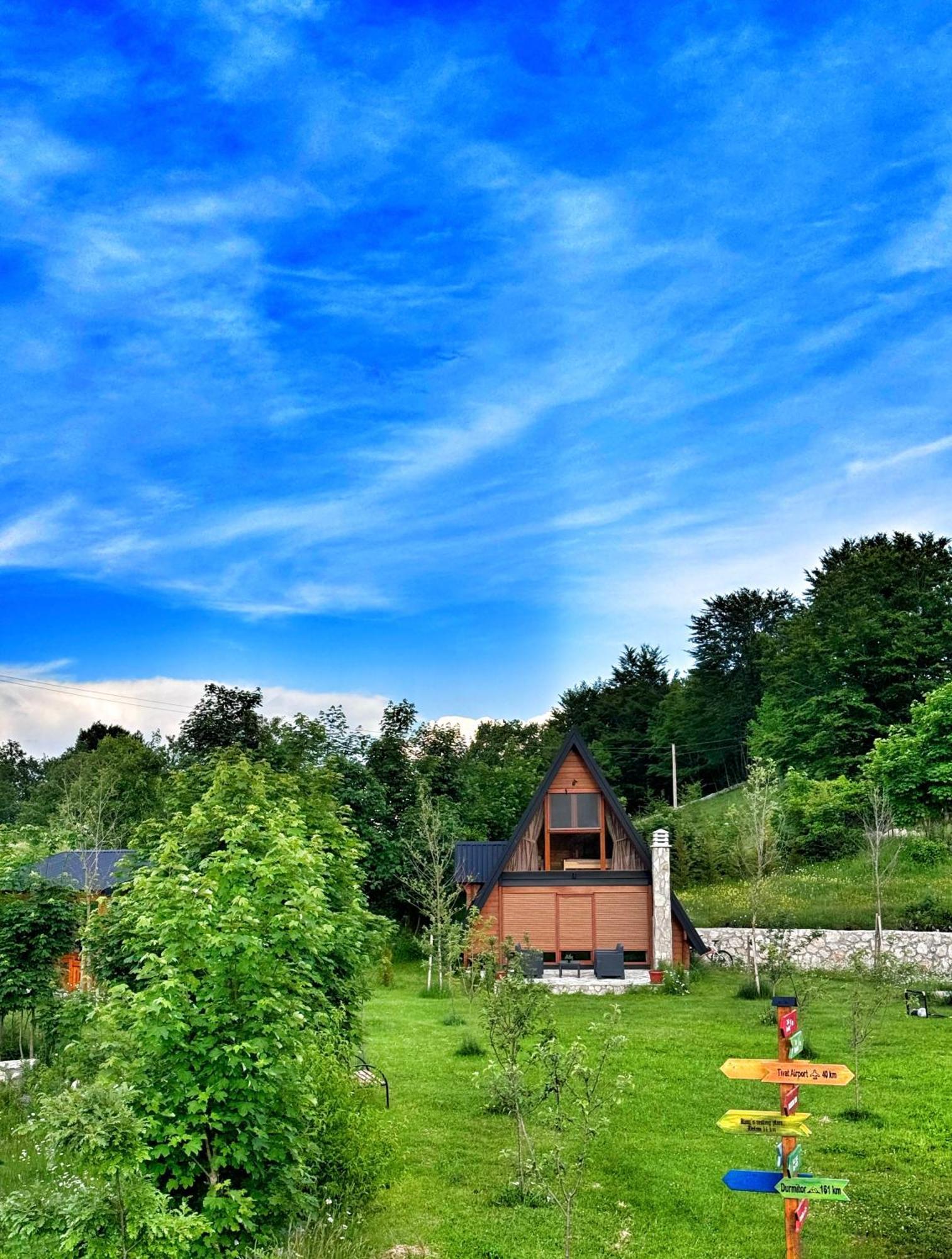 Вилла Albero Casa Цетине Экстерьер фото